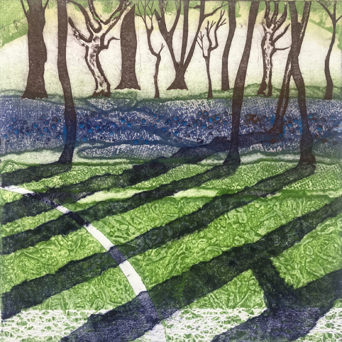 Blanket of Bluebells